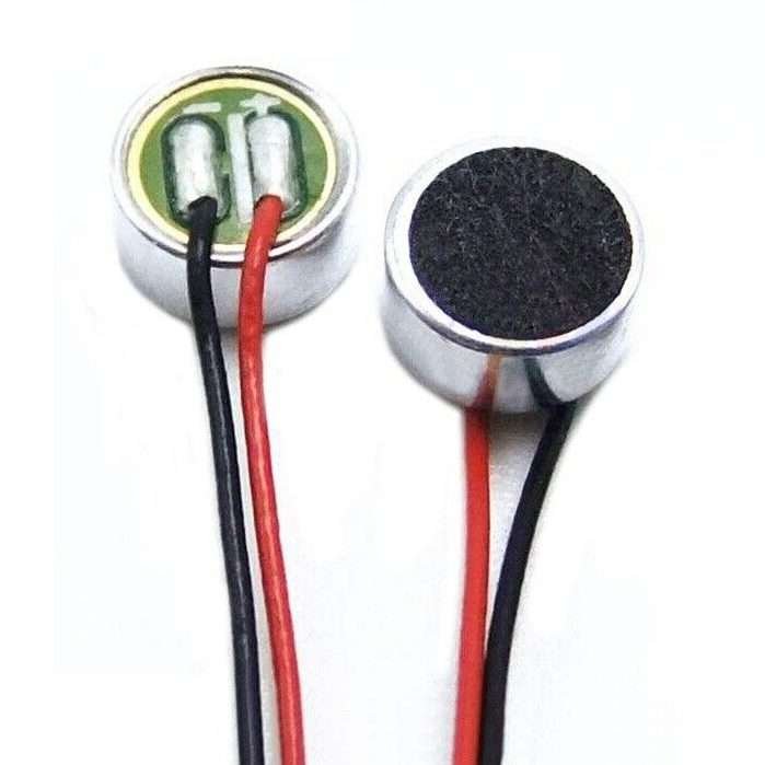 Mic e1679241079412