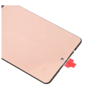 Samsung Galaxy M55 Display